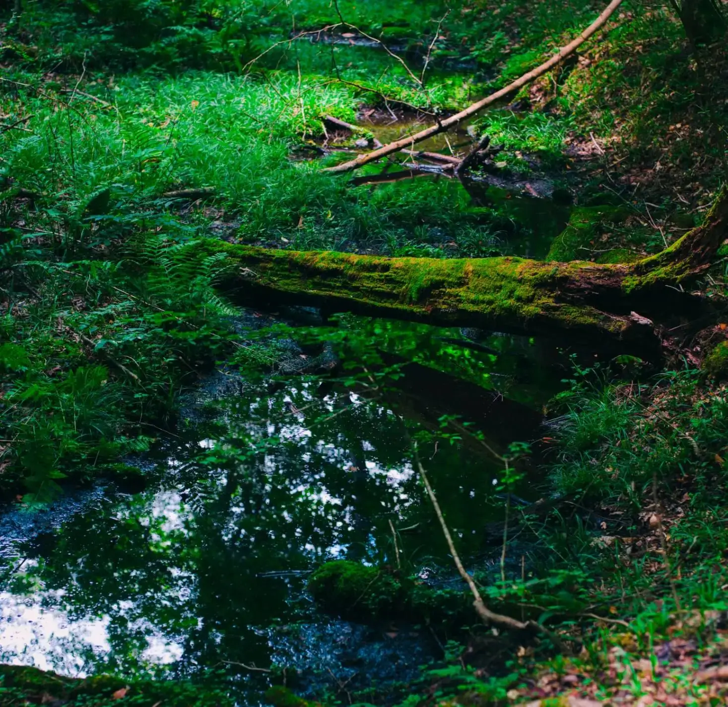 コンセプト イメージ画像