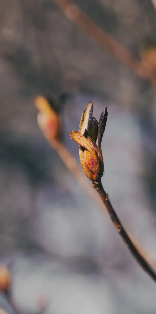 コンセプト イメージ画像